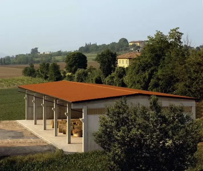 Coppo Titan rosso