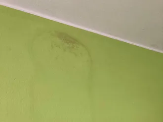 Infiltrazione d'acqua da antenna del tetto