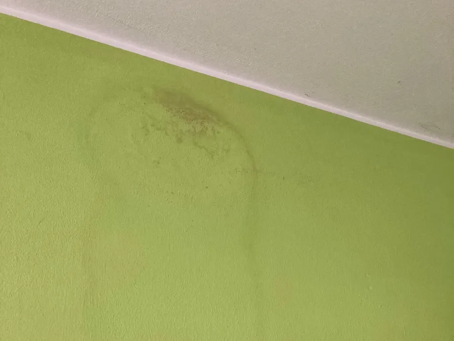 Infiltrazione d'acqua da antenna del tetto