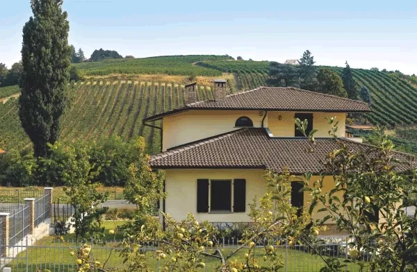 Colore coppo di Francia